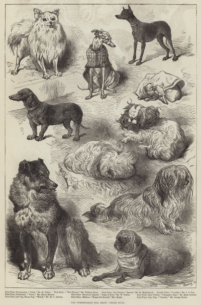 Die Birmingham-Hundeausstellung, Preishunde von Harrison William Weir